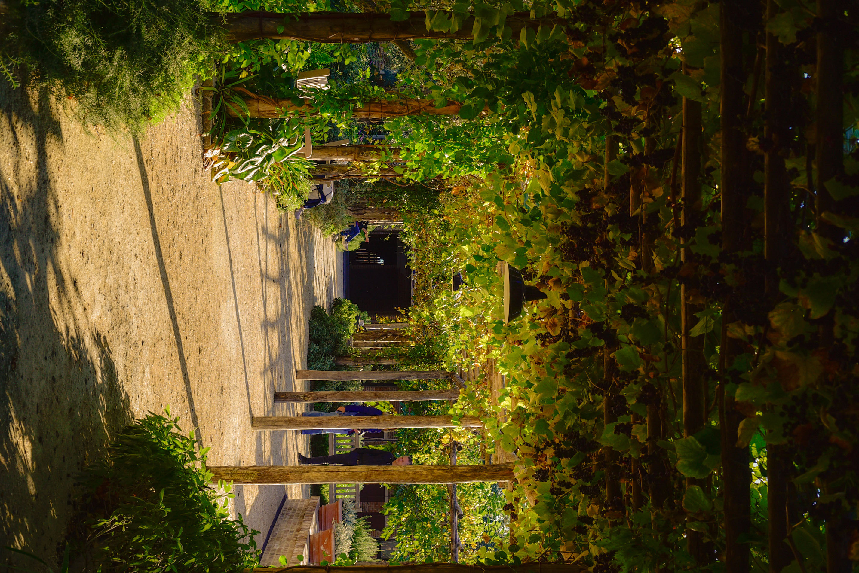 Click for more details on project 4 of 21